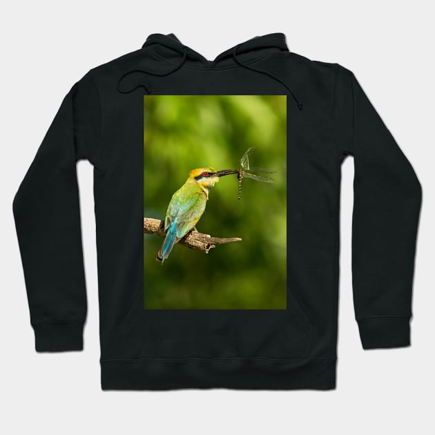 Rainbow Bee-Eater, Northern Territory Hoodie by AndrewGoodall